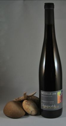 AOC Moselle Pinot Noir Les Tonneaux de Thérèse